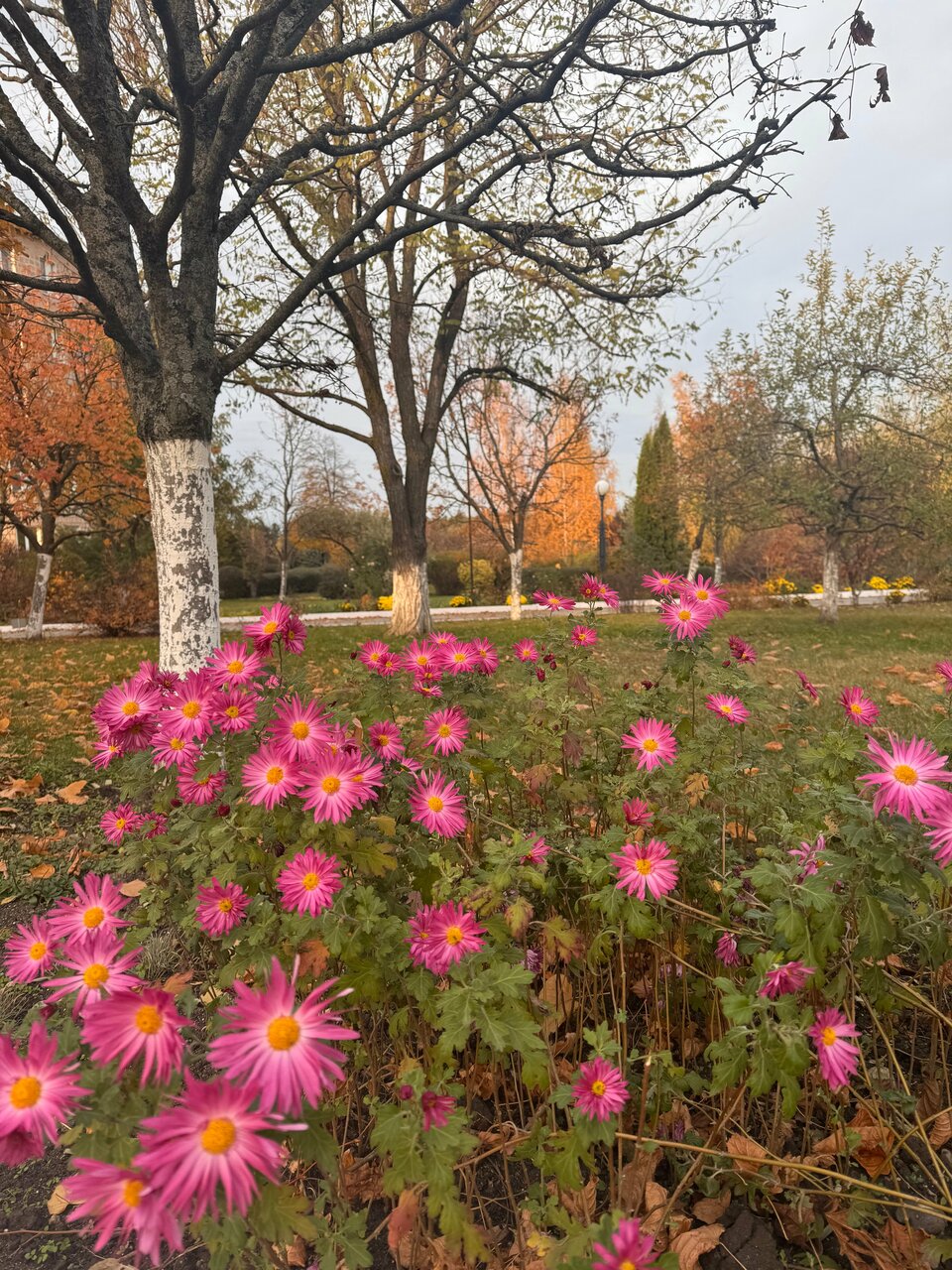 Гостиница Машук Аква-Терм Пятигорск-118