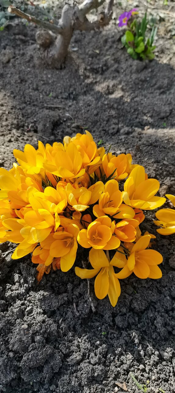 Гостиница Машук Аква-Терм Пятигорск-237