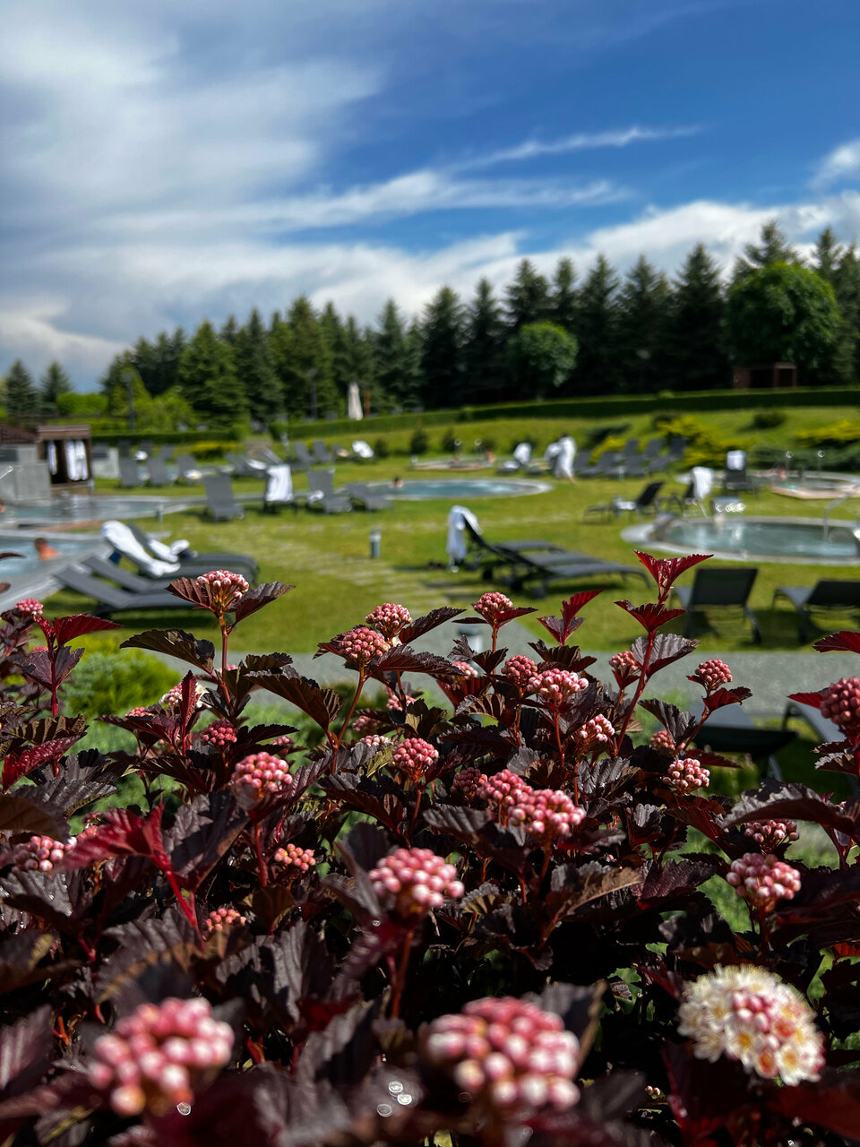 Гостиница Машук Аква-Терм Пятигорск-199