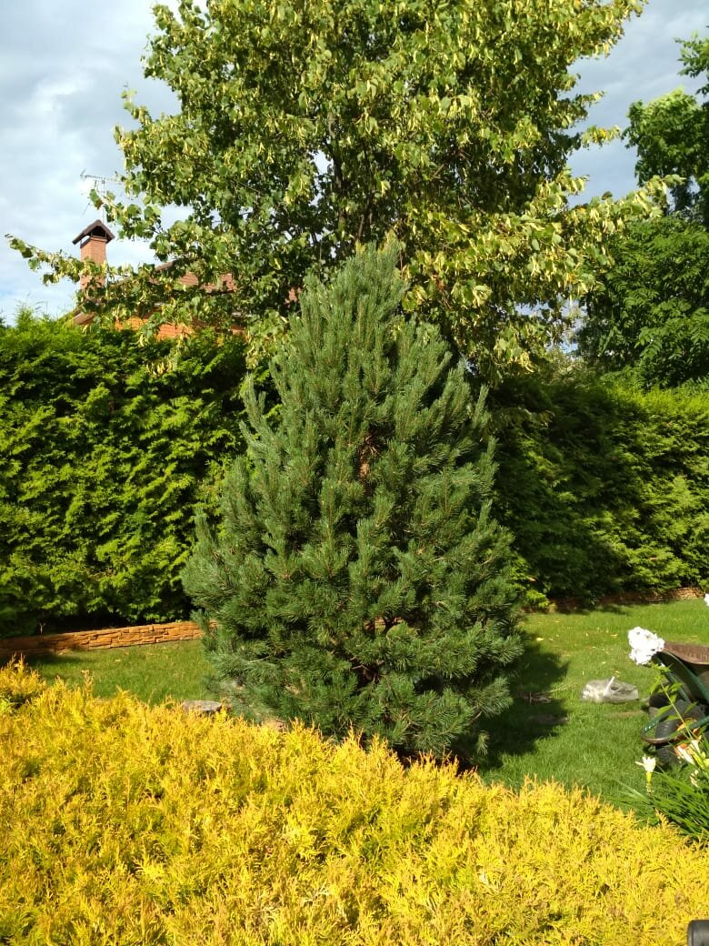 Гостиница Машук Аква-Терм Пятигорск-184