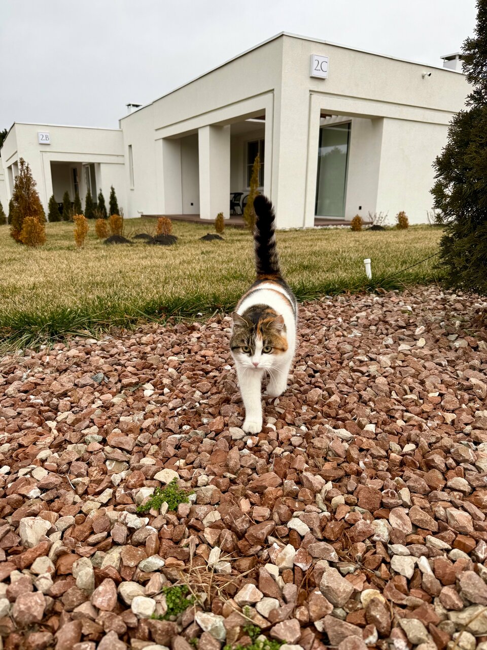 Гостиница Машук Аква-Терм Пятигорск-105