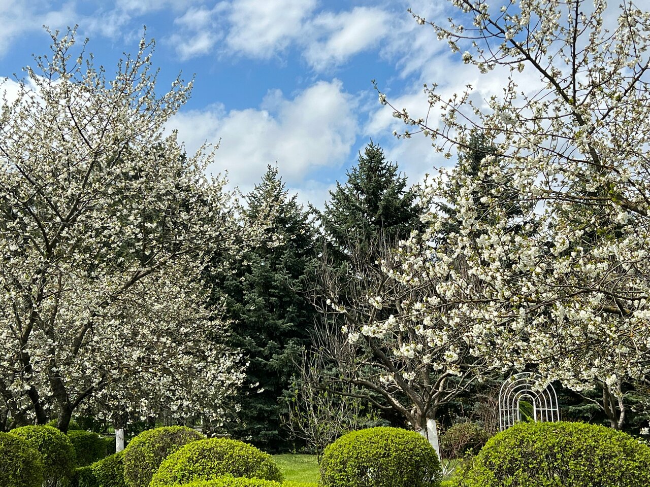 Гостиница Машук Аква-Терм Пятигорск-70