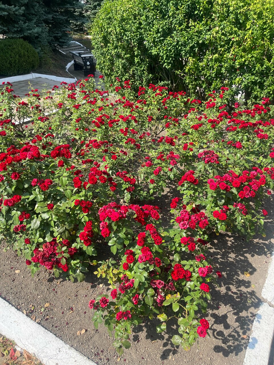 Гостиница Машук Аква-Терм Пятигорск-162