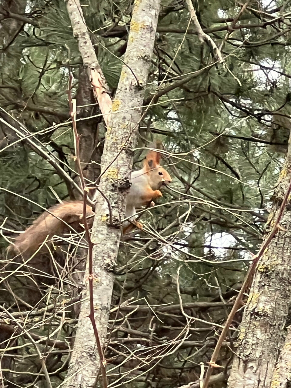 Гостиница Машук Аква-Терм Пятигорск-59