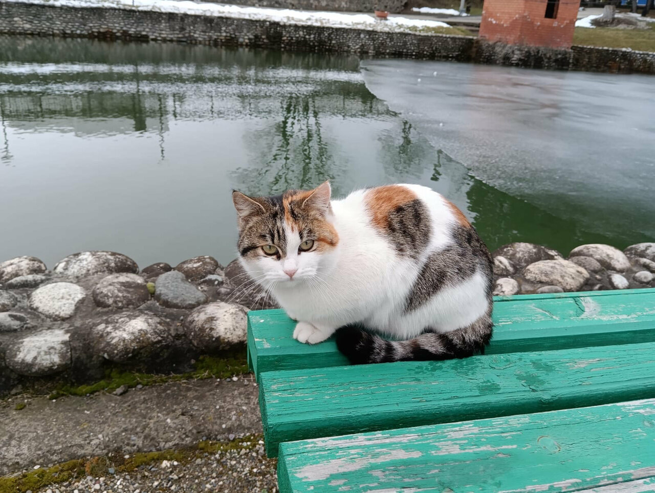 Гостиница Машук Аква-Терм Пятигорск-166