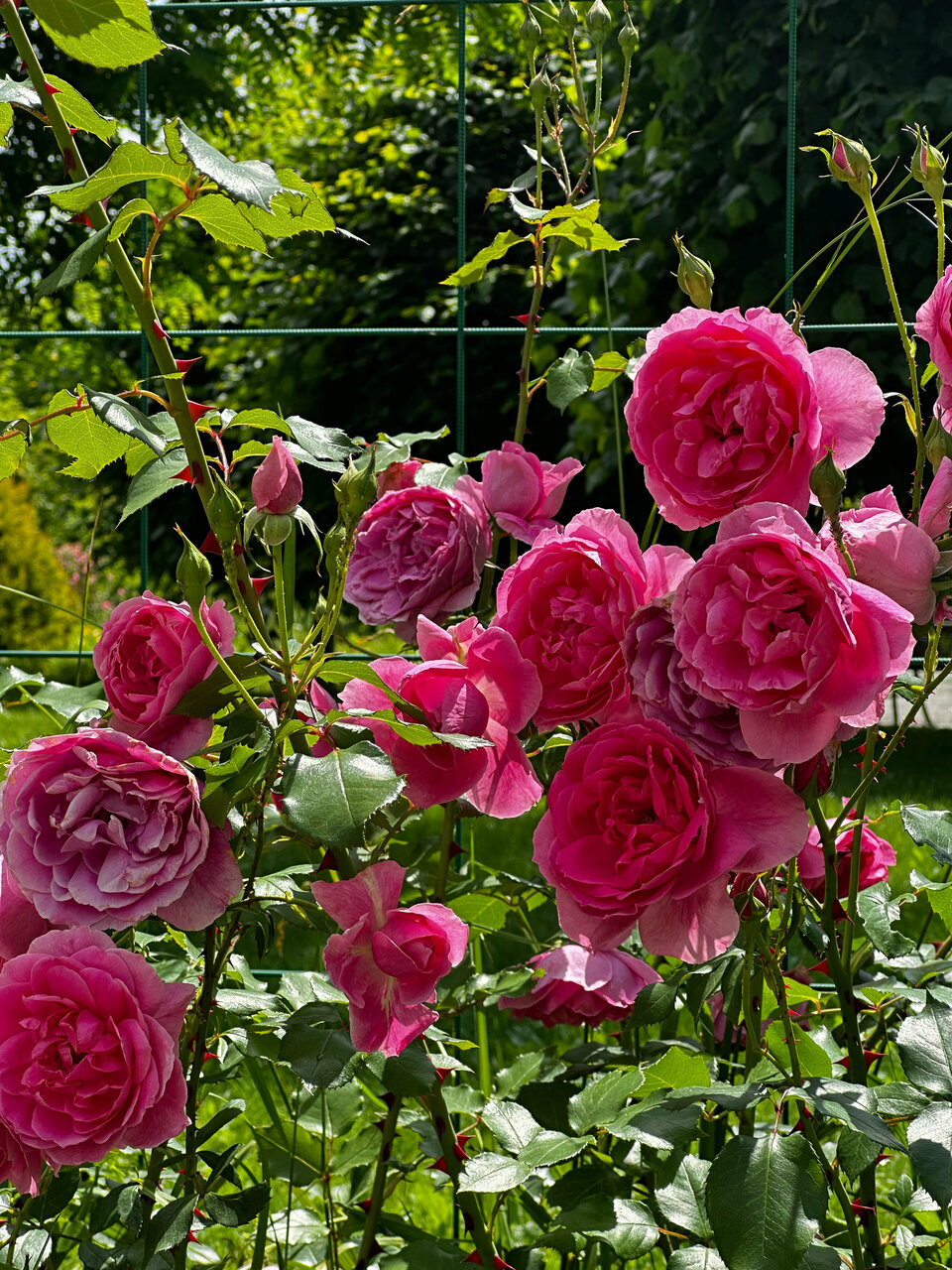 Гостиница Машук Аква-Терм Пятигорск-169