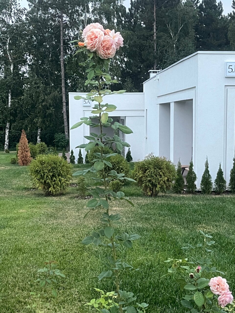 Гостиница Машук Аква-Терм Пятигорск-198