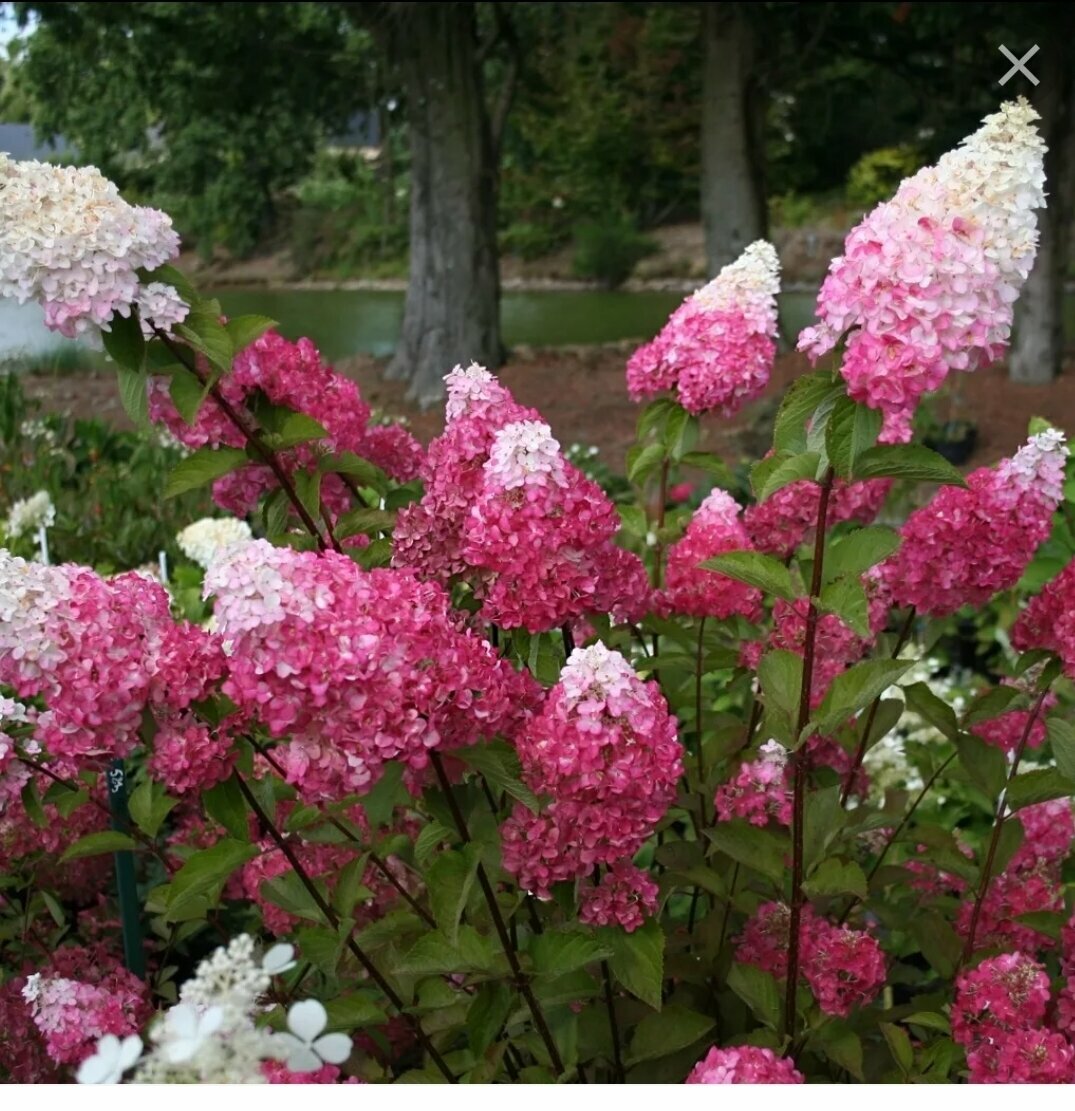 Гостиница Машук Аква-Терм Пятигорск-99