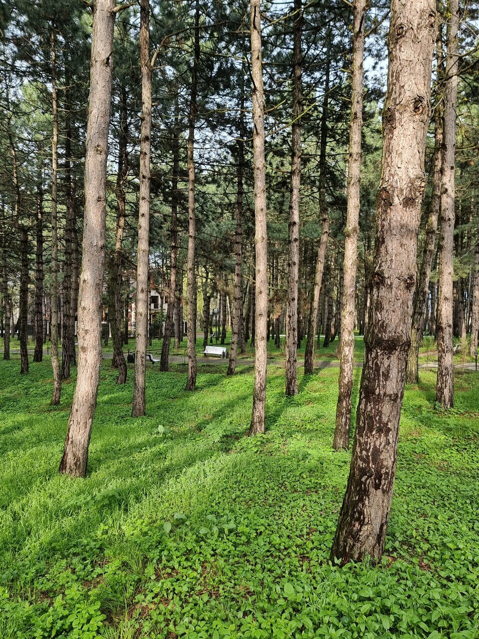 Гостиница Машук Аква-Терм Пятигорск-235