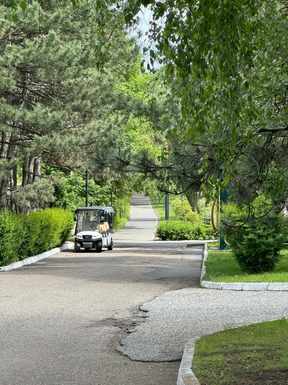 Гостиница Машук Аква-Терм Пятигорск-213