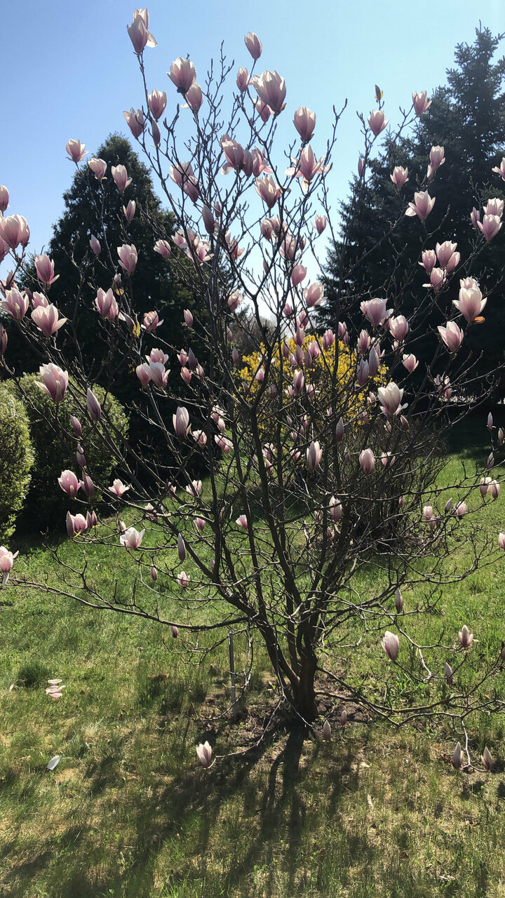 Гостиница Машук Аква-Терм Пятигорск-132