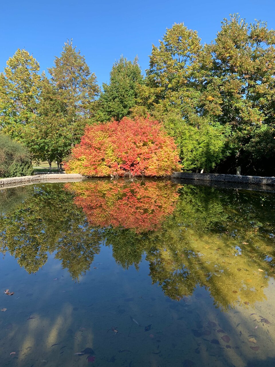 Гостиница Машук Аква-Терм Пятигорск-167