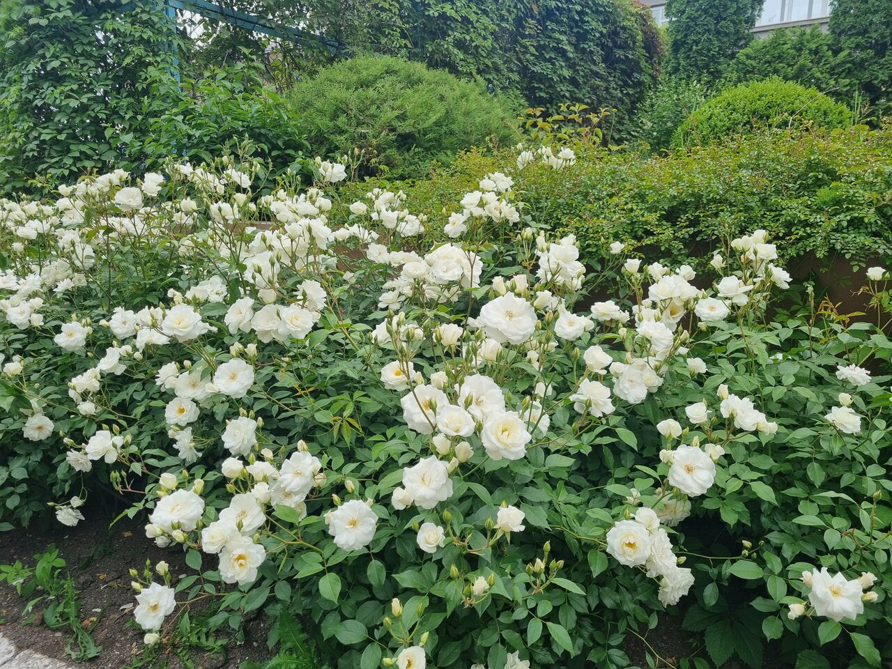 Гостиница Машук Аква-Терм Пятигорск-129