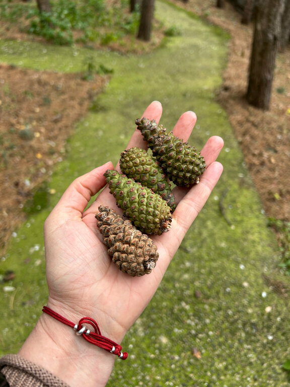 Гостиница Машук Аква-Терм Пятигорск-122