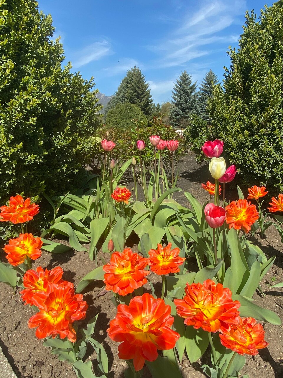 Гостиница Машук Аква-Терм Пятигорск-53