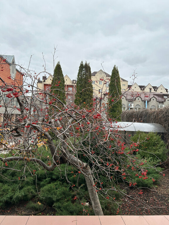 Гостиница Машук Аква-Терм Пятигорск-126