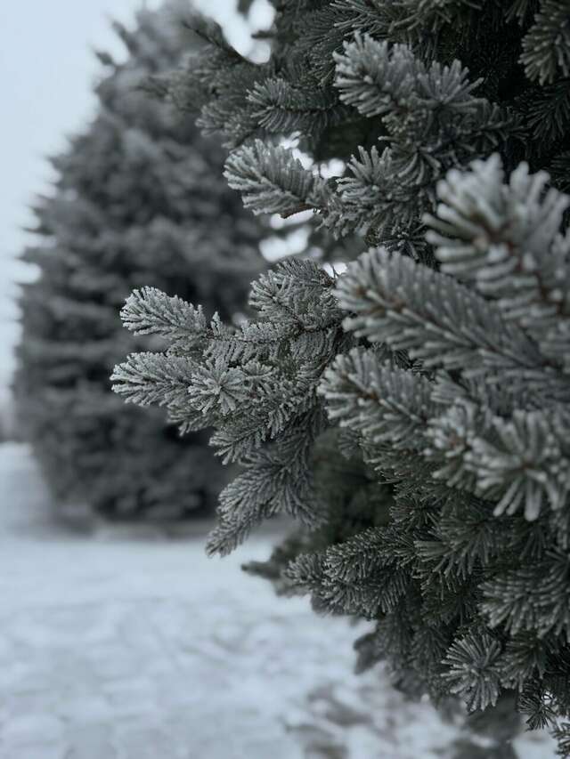 Гостиница Машук Аква-Терм Пятигорск-217