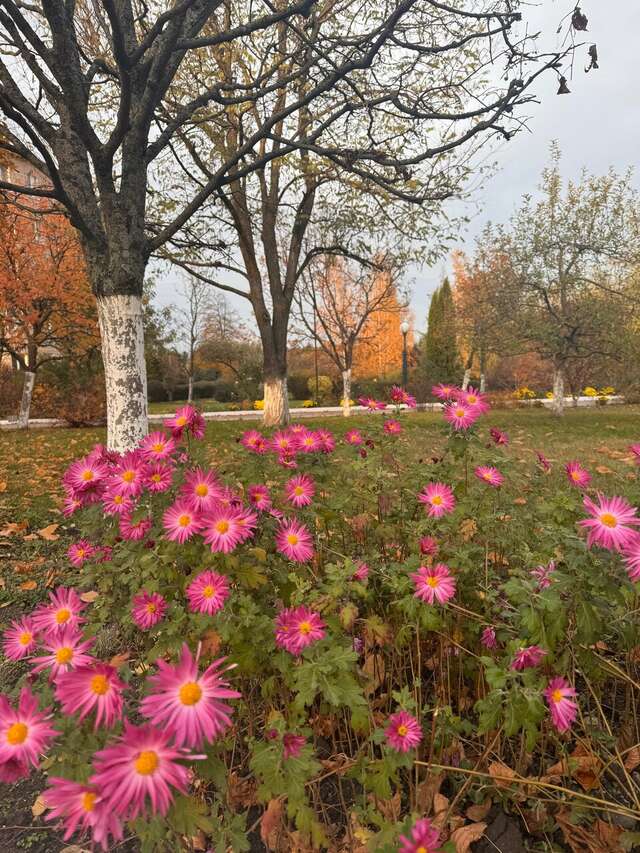 Гостиница Машук Аква-Терм Пятигорск-117