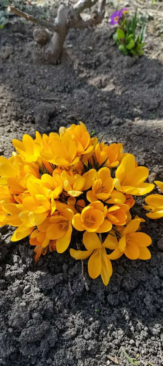 Гостиница Машук Аква-Терм Пятигорск-236