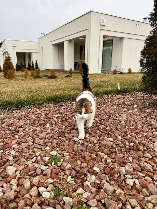 Гостиница Машук Аква-Терм Пятигорск-104