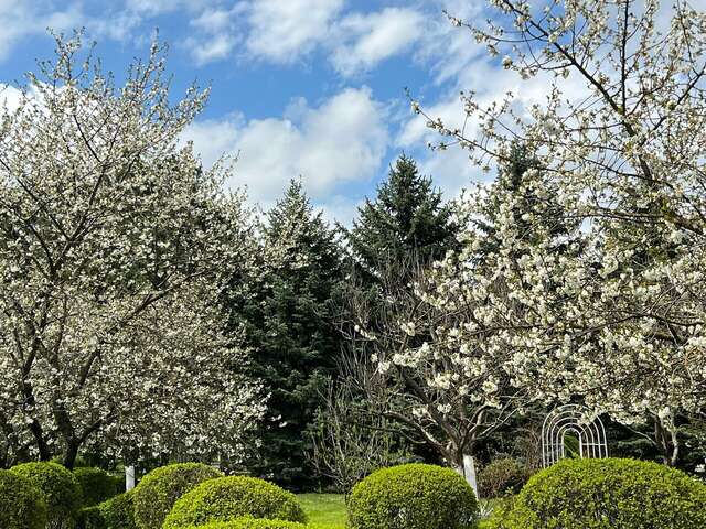 Гостиница Машук Аква-Терм Пятигорск-69