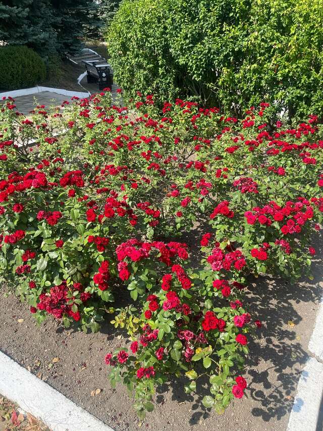 Гостиница Машук Аква-Терм Пятигорск-161