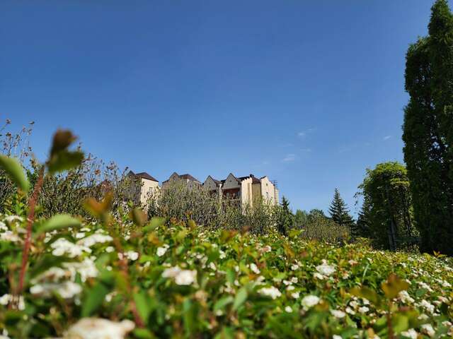 Гостиница Машук Аква-Терм Пятигорск-115