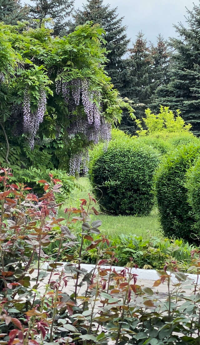 Гостиница Машук Аква-Терм Пятигорск-62