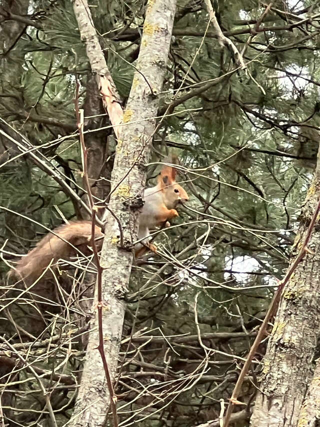 Гостиница Машук Аква-Терм Пятигорск-58