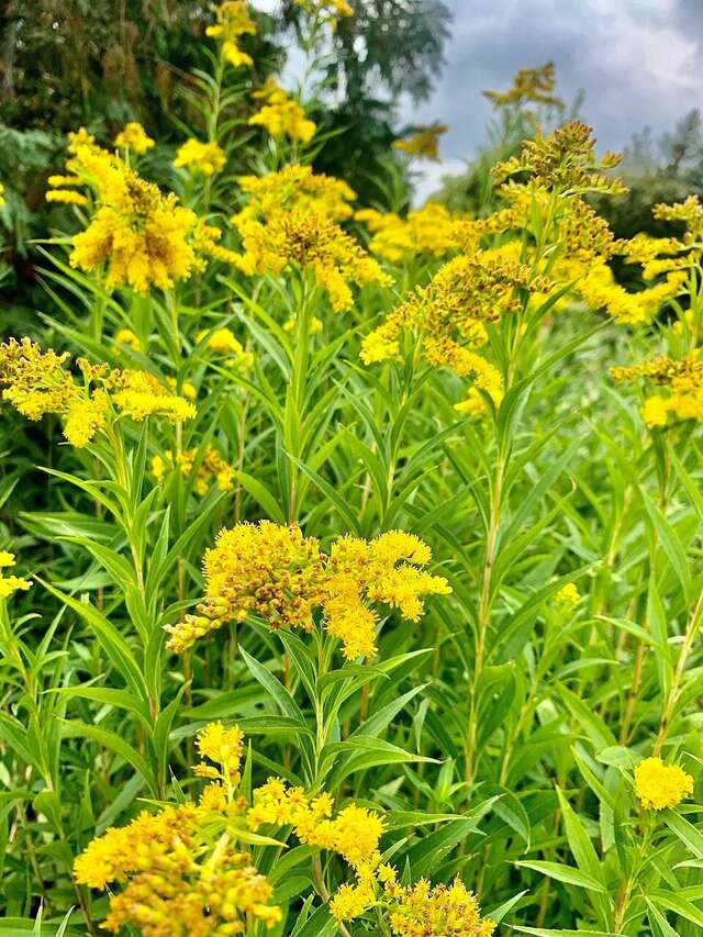 Гостиница Машук Аква-Терм Пятигорск-179