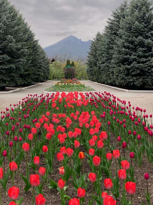 Гостиница Машук Аква-Терм Пятигорск-81