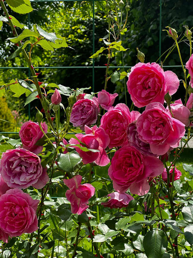 Гостиница Машук Аква-Терм Пятигорск-168