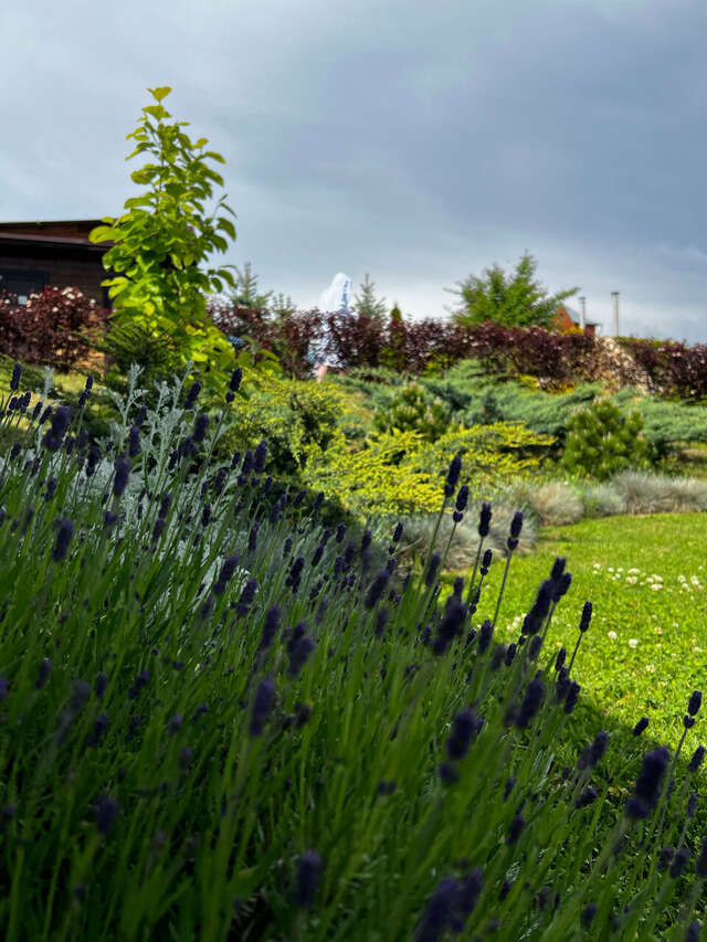 Гостиница Машук Аква-Терм Пятигорск-111