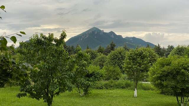 Гостиница Машук Аква-Терм Пятигорск-106