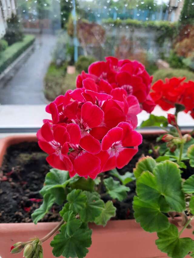 Гостиница Машук Аква-Терм Пятигорск-188