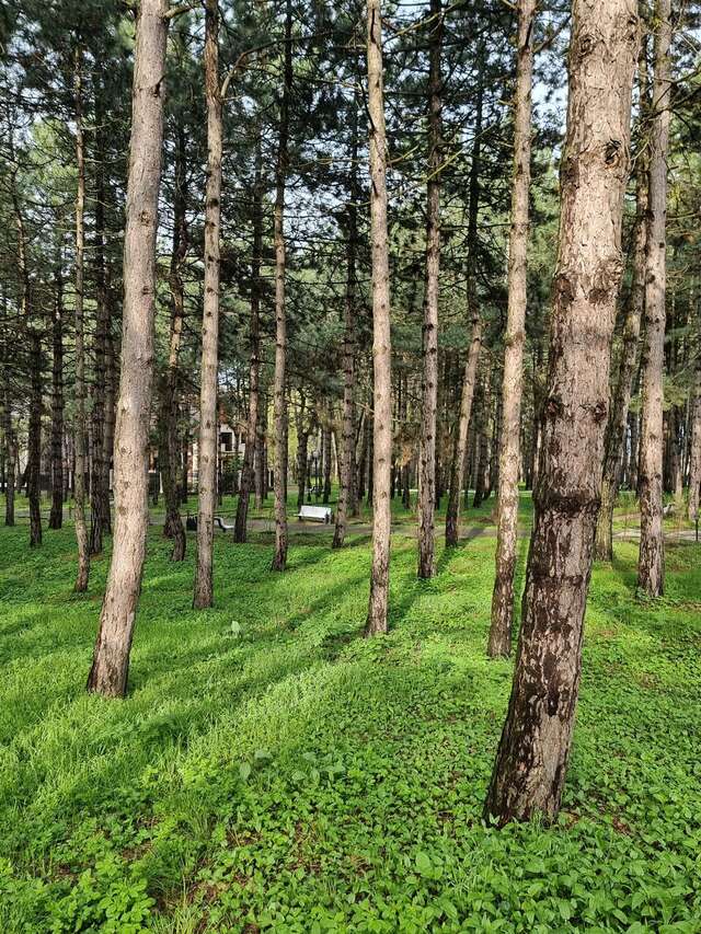 Гостиница Машук Аква-Терм Пятигорск-234