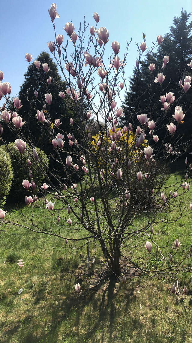 Гостиница Машук Аква-Терм Пятигорск-131