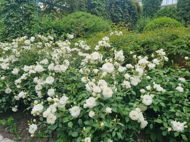 Гостиница Машук Аква-Терм Пятигорск-128