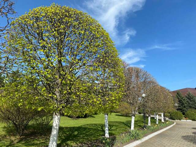 Гостиница Машук Аква-Терм Пятигорск-221