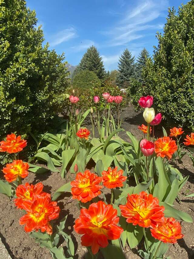 Гостиница Машук Аква-Терм Пятигорск-52