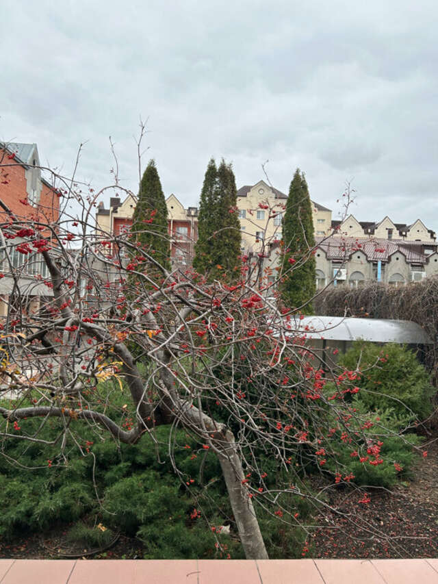 Гостиница Машук Аква-Терм Пятигорск-125